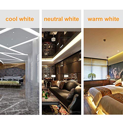 Shine Decor 6x10mm Dimmable LED Strip Lights, 50ft 3000K Warm White, 110V Flexible Waterproof Rope Lights, 2835 120LEDs/M, for Indoor Outdoor Commercial Lighting Decoration, Accessories Included