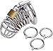 Uleade Male Chastity Device Cock Cage Steel Metal Silver Locked Cage Sex Toy for Men (3 Rings), Lock and 2 Keys Included