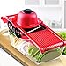 5XBokdy Vegetable and Fruit Chopper Vegetable and Fruit 5 IN 1Multifunction Vegetable Slicer 5 Stainless Steel Blades