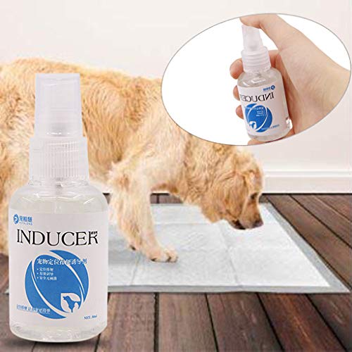 Huangou Training Aid Spray, Dog Potty Trainer, Pet Corrector Spray - Pet New Perfume Inducer Pet Spray Toilet Training Dog Positioning Defecation (White, 50ml) - Thumbnail 5