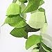 Just Artifacts Premium Crepe Paper Rolls - 8ft Length/20in Width (6pcs, Color: Shades of Green)