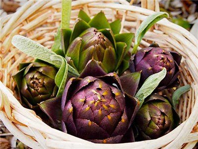 Artichoke Purple Italian Globe (Heirloom) 100 Seeds Upc643451294514