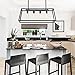 Morley Glass Linear Chandelier, 4-Light Industrial Island Pendant Lighting with Matte Black Frame for Dining Room, Kitchen by Lanros