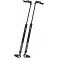 Set of 2 Rear Hatch Lift Support Gas Spring Struts with Bracket for 2004-2006 Scion xA