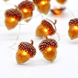 Impress Life Christmas String Lights, Acorn 10ft Silver Wire 40 LED Battery Powered with Dimmable Remote Timer for Ice Age, Indoor Outdoor, Wedding, Birthday Bedroom Fireplace Mantel Xmas Decorations