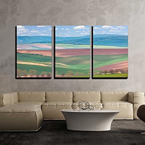3 Piece Canvas Wall Art - Spring Landscape of Fields in Countryside of Hills - Modern Home Art Stretched and Framed Ready to Hang - 16"x24"x3 Panels
