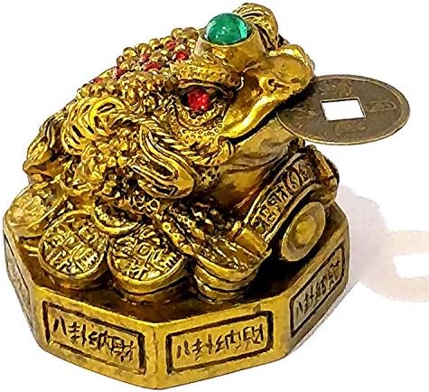 Ruba Enterprises Feng Shui Money Frog Showpiece for Prosperity and Good Luck