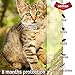 Sentas Flea Tick Prevention Cats | Cat Collar | Cat Flea Collars | Flea Tick Prevention | Flea Treatment Cats | Flea Protection | Pet Flea Collars | Fleas & Ticks Cats Flea & tick Control