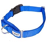 GoGo Pet Products GoGo 1-Inch Martingale Dog Collar, Large, Blue