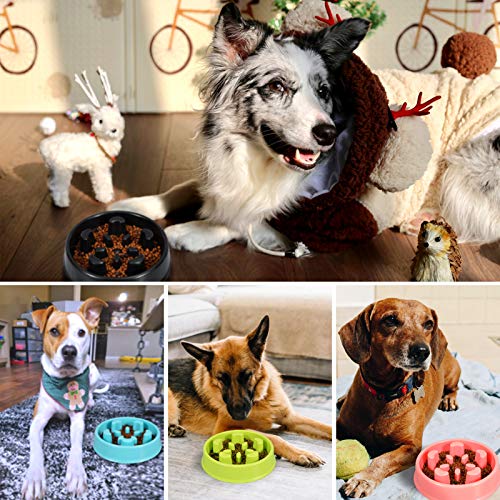 KASBAH Slow Feeder Dog Bowl, Anti-Gulping Dog Food Bowls Non-Toxic Eco Friendly Maze Dog Bowl for Small/Medium Dogs, Blue