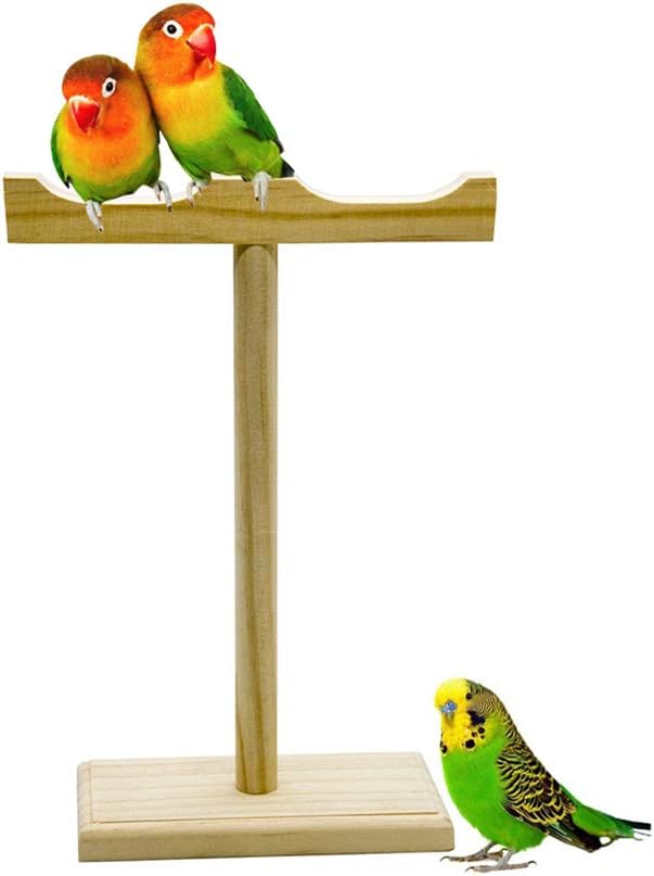 NINGYE Bird Stand Tabletop Training Perch Grinding Cage Chew Toys for Parrot Macaw African Grey Budgie Parakeet