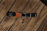 Zee.Dog | Dog Collar | Patagonia | Small