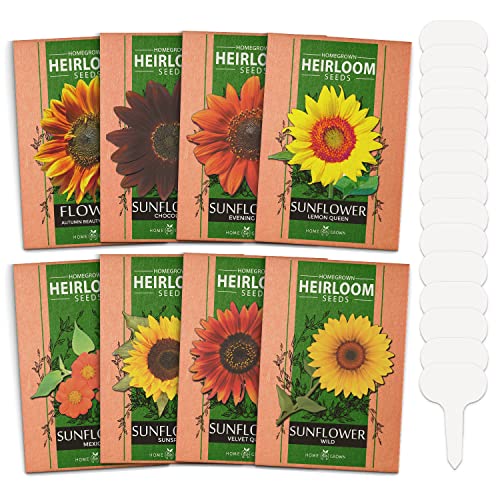 1000+ Bulk Sunflower Seeds for Planting Outside 8 Variety Pack