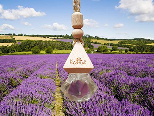 Car essential oil diffuser- Lavender car air freshener- 100% Pure essential oils – Eco friendly,non toxic -Diamond shape bottle - Hang on rear view mirror - reduce stress by Ecohu