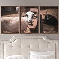 3 Piece Framed Canvas Wall Art Fun Animals Canvas Prints Home Artwork Decoration for Living Room,Bedroom - 16