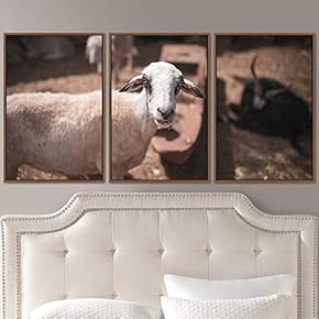 signwin 3 Piece Framed Canvas Wall Art Fun...