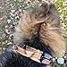 Tactical Dog Collar with Handle 2 Inch Nylon, Metal Quick Release Buckle, Reflective Stitching, Patch Area, Heavy Duty D-Ring, ID Tag Loop, USA Flag, Fits Medium-Large Pet - K9 for Walks or Training