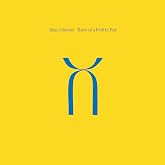 Three Of A Perfect Pair - Steven Wilson &amp; Robert Fripp Mixes - 200gm