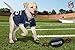 Pets First NFL New England Patriots Football Dog Toy, Tough Quality Nylon Materials, Strong Pull Ropes, Inner Squeaker, NFL Team Color