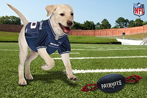 patriots dog toy