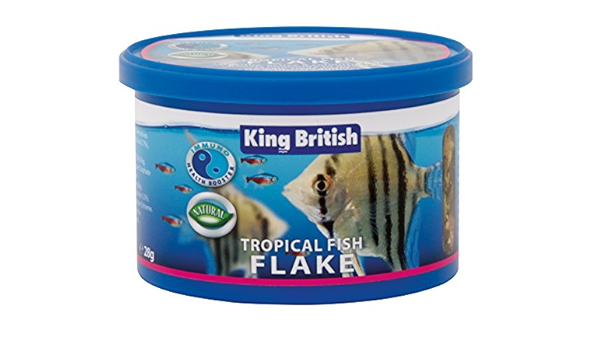 bg fish supplies