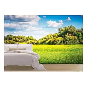 Green Field with Trees and Blue Sky. Nature Landscape in Summer - Removable Wall Mural | Self-Adhesive Large Wallpaper - 66x96 inches