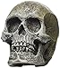 Blue Ribbon Pet Products ABLEE818 Mini Human Skull Ornaments for Aquarium