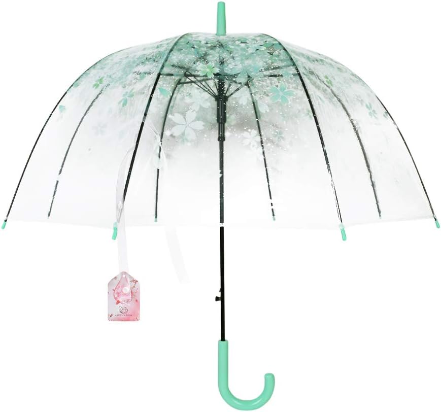 BeautyPO women’s transparent umbrella in birdcage look with romantic pink cherry details and a comfortable handle , Grün Bequemem Griff (Green) - HS-0526