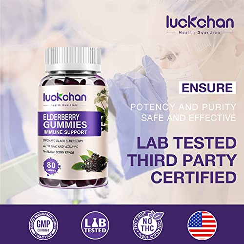 3 Pack High Potency Elderberry Gummies with Zinc - Black Elderberry Pectin Vitamin C - Echinacea - Immunity Support Dietary Herbal Supplements - Adult & Kids - Made in USA