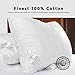 Down Alternative Pillows for Sleeping Plush (2 Pack King), 100% Cotton Cover Best Hotel Bed Pillows with 2