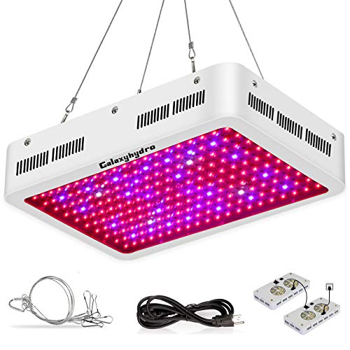 Galaxy Hydro 600W LED Grow Light Review: An Excellent ...
