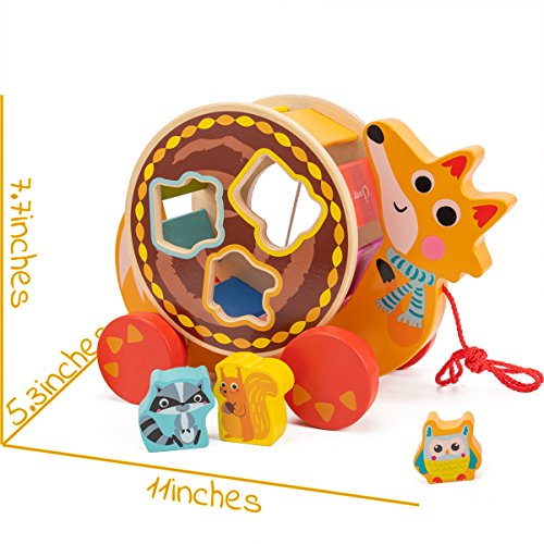 cossy Wooden Shape Sorter Pull Toy - Wooden Fox Puzzle for Toddler Learning Walk-A-Long Push & Educational Toy for 1 Year Old - Thumbnail 5