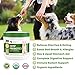 POINTPET Probiotic Supplement for Dogs with Organic Hemp Oil - Helps with Diarrhea, Constipation - Dry, Itchy Skin - Allergies, Digestion and Immunity Support - 90 Natural Chicken Flavored Soft Chews