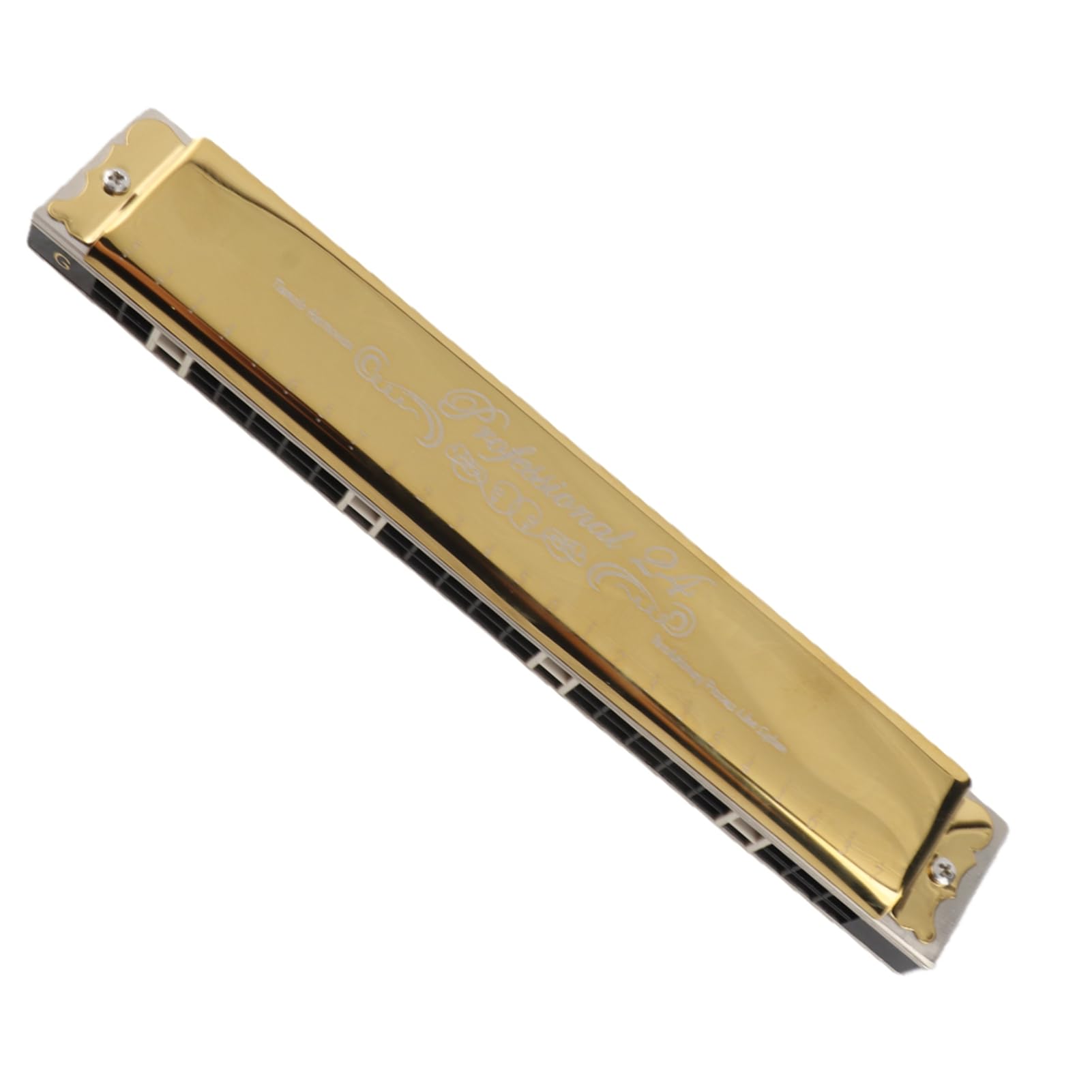 Key of D 24 Holes Diatonic Harmonica Mouth Organ with Case for Adult Students Beginner (Golden D Key) Wind Instrument Playing Musical Instruments