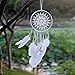 Dremisland Dream Catcher Handmade Traditional White Feather Wall Hanging Wall Art Home Decoration Ornament Decor Ornament Craft Gift