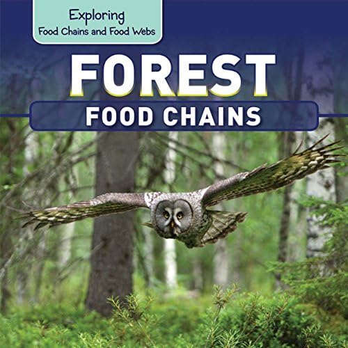 Forest Food Chains (Exploring Food Chains and Food Webs, 4)