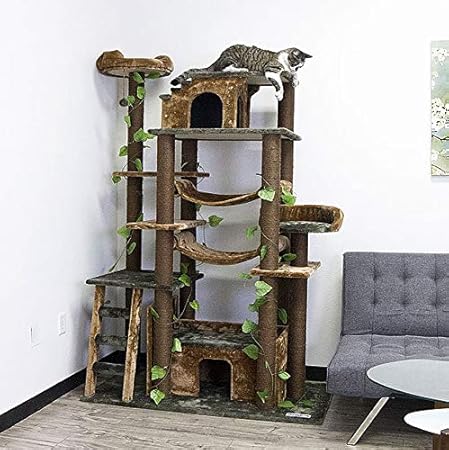 amazon cat furniture