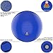 Exercise Ball Balance Anti-Burst Balls | Best Professional Stability Set – Yoga Large Thick Fitness Ball With Pump & Accessories, Extra Pins For Valve, Premium Elastic Loop &Hard Cover Workout Guide …