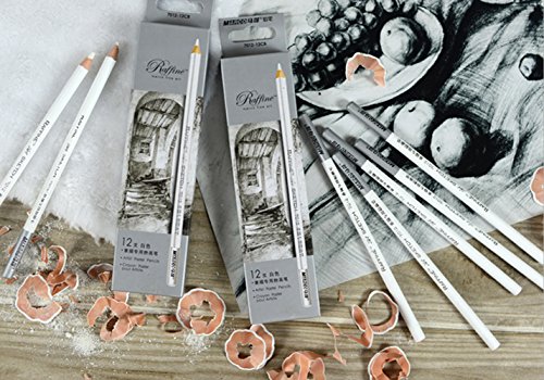 Artist Sketch White Pencil 12 PCS (White Charcoal Pencil)