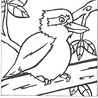 PaintaDoodle 12 x 12 Laughing Kookaburra Painting Kit
