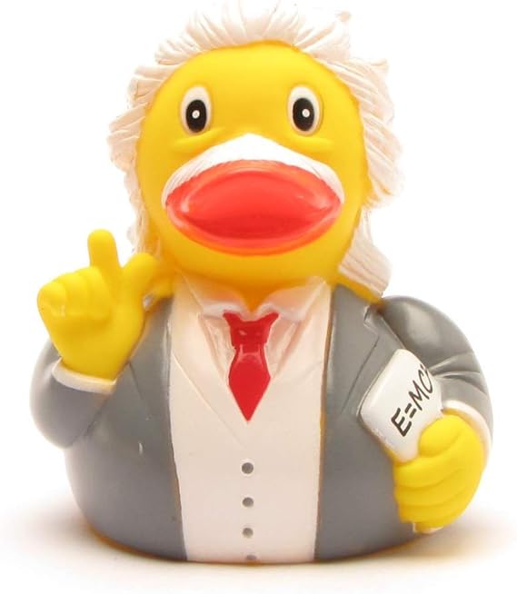 einstein rubber duck