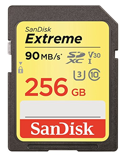 SanDisk Extreme 256GB SDXC UHS-I Card (SDSDVF-256G-GNCIN) [Newest Version]