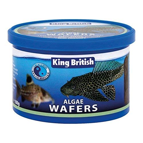 King British Algae Wafers 40g (PACK OF 2)