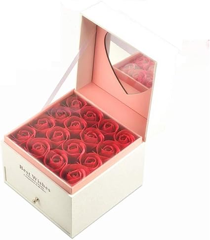 W&Z Rosa Regalo Caja Collar Caja de joyería con Espejo ...