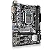 ASRock B250M-HDV LGA1151/ Intel B250/ DDR4/ SATA3&USB3.0/ M.2/ A&GbE/ MicroATX Motherboard