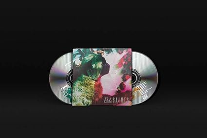 Pale Saints The Comforts Of Madness 30th Anniversary Reissue