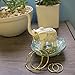 Evelots Clip on Hoop Earrings - Gold or Silver Tone- Gentle Spring Clip on for Non Pierced Ears - No Pinching/Nickel Free- 4 Different Sizes
