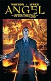 Angel: After The Fall Vol.2