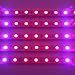 [Pack of 5] LVJING 5W Led Grow Light Bar Flexible Soft Strip Light for Indoor Plants Veg Flower Garden Greenhouse Hydroponic System Kit, 5050smd 25Red 5Blue, DC 12V Power Supply, 0.5 Meter Per Strip­