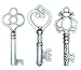Salome Idea Skeleton Key Set in Antique Silver (30 Keys) 3 Different Styles - Vintage Style Key Replicas (Small Size, Silver Color)